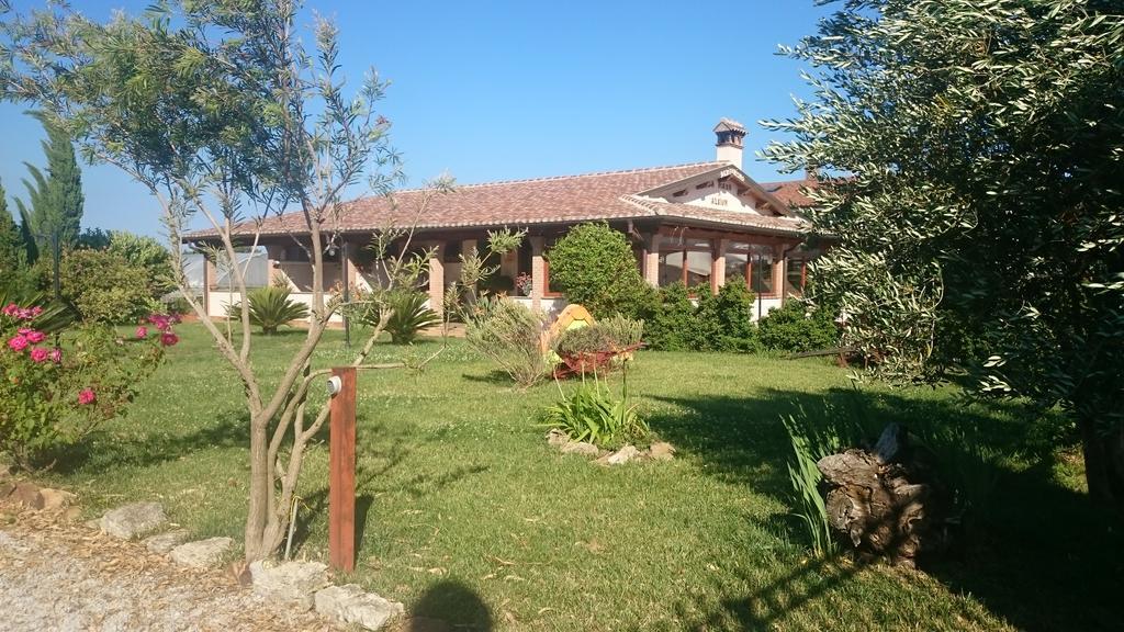 La Piana Di Alsium Villa Ladispoli Buitenkant foto